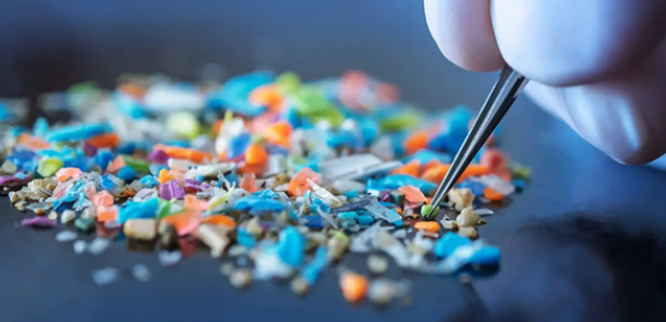 神奇海洋2026年1月7日答案：海洋中的