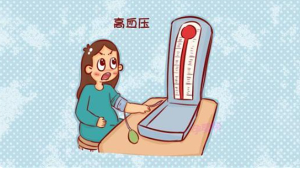 蚂蚁庄园2026年1月8日答案：单次血压升高，即可诊断为高血压?