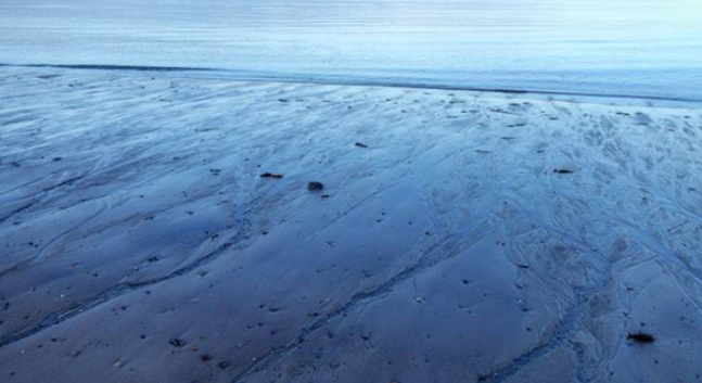 神奇海洋2026年1月27日答案：地球上有黑海、红海、黄海，那有白海吗?