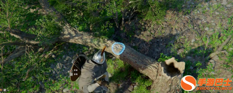《红色沙漠》砍树全攻略：新手也能快速拿捏木材资源