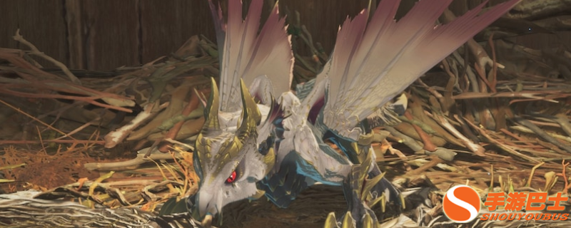 《怪物猎人物语3：命运双龙》贴合背部的鞍具成就攻略，新手零翻车解锁