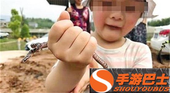 捉毒蛇让女儿把玩 为了引导孩子勇敢去探索