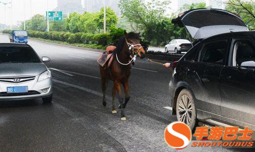 街头,开车,遛马