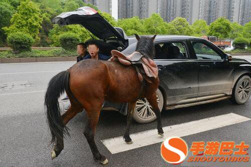 街头,开车,遛马