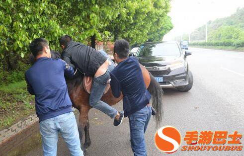 街头,开车,遛马