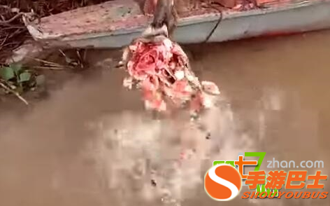 男子把一条死鱼插在河滩上 出现了这一幕！