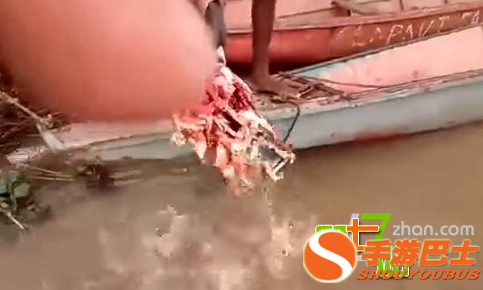 男子把一条死鱼插在河滩上 出现了这一幕！