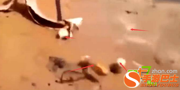 男子把一条死鱼插在河滩上 出现了这一幕！