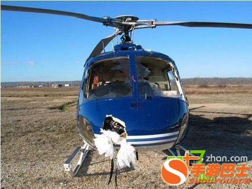 一只鸟有多大威力？看完你会吓出一身冷汗