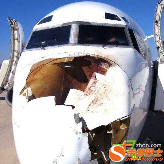 一只鸟有多大威力？看完你会吓出一身冷汗