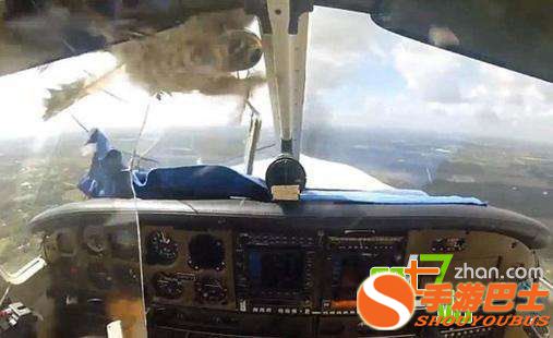 一只鸟有多大威力？看完你会吓出一身冷汗