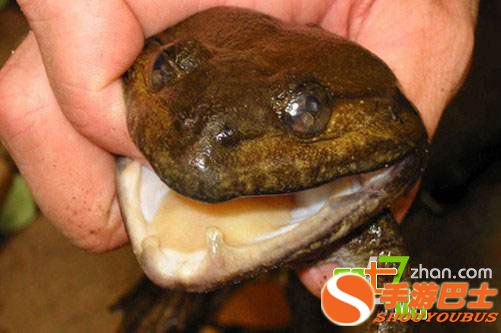 震撼大爆料：贵州至今都无人能解的九大惊天谜团