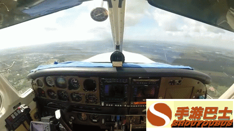 一只鸟有多大威力？看完你会吓出一身冷汗