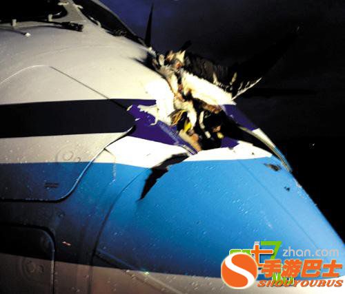 一只鸟有多大威力？看完你会吓出一身冷汗