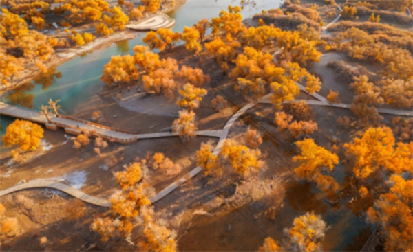 景区因游客排队时间长被通报批评