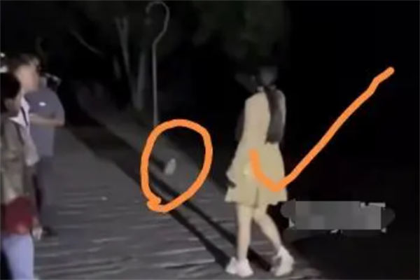 深圳景区女子插队被阻止搬石头砸人