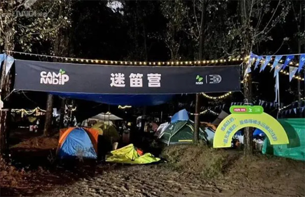 部分迷笛音乐节盗窃者被抓获